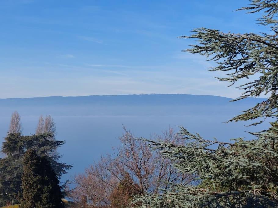 אוויאן-לה-באן Le Mirabeau Vue Lac מראה חיצוני תמונה